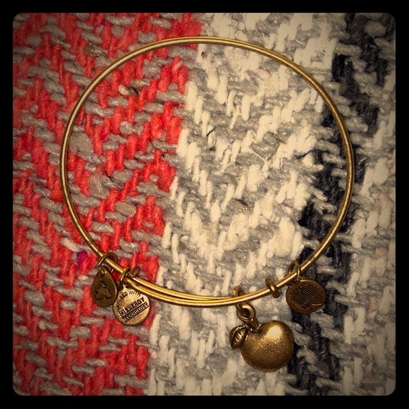 Apple Alex and Ani Bracelet - Picture 1 of 1